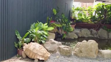 Toyko 'nun en iyi manzarası.