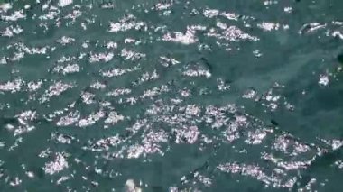 Yokohama 'nın en iyi manzarası.