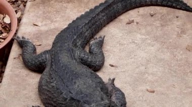 Yokohama 'nın en iyi manzarası.