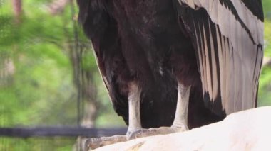 Yokohama 'nın en iyi manzarası.