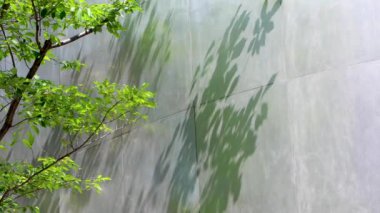 Japonya 'nın en iyi manzarası.