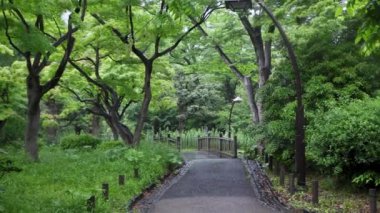 Tokyo 'nun en iyi manzarası.