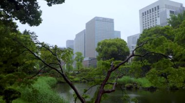 Tokyo 'nun en iyi manzarası.