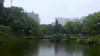 Tokyo 'nun en iyi manzarası.