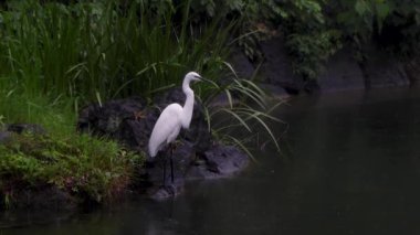 Tokyo 'nun en iyi manzarası.
