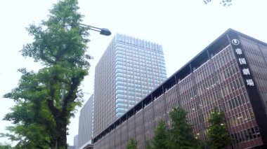 Tokyo 'nun en iyi manzarası.