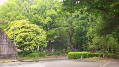 Tokyo 'nun en iyi manzarası.