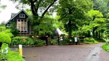 Tokyo 'nun en iyi manzarası.