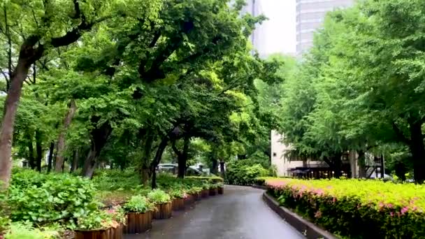 東京のベストビュー — ストック動画