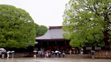 Tokyo 'nun en iyi manzarası.