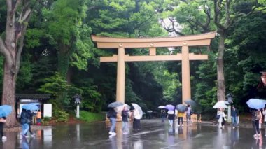 Tokyo 'nun en iyi manzarası.