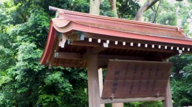 Tokyo 'nun en iyi manzarası.