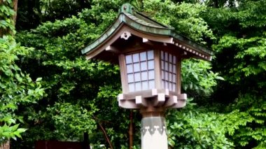 Tokyo 'nun en iyi manzarası.