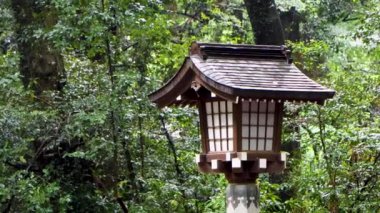 Tokyo 'nun en iyi manzarası.