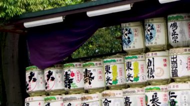 Tokyo 'nun en iyi manzarası.