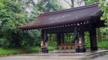 Tokyo 'nun en iyi manzarası.