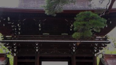 Tokyo 'nun en iyi manzarası.