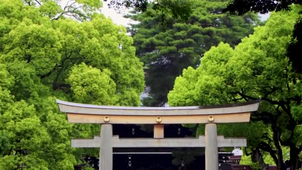 Den Beste Utsikten Tokyo – stockvideo