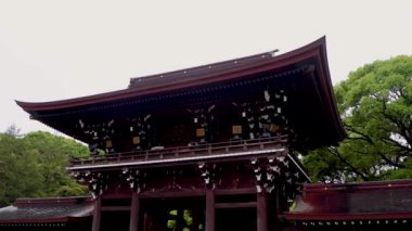 Tokyo 'nun en iyi manzarası.