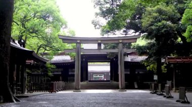 Tokyo 'nun en iyi manzarası.