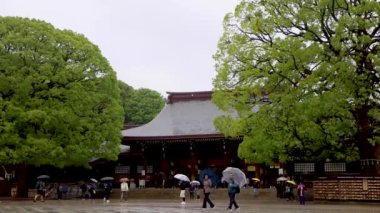 Tokyo 'nun en iyi manzarası.