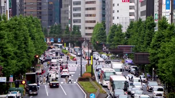 Shinjuku Nun Iyi Manzarası — Stok video
