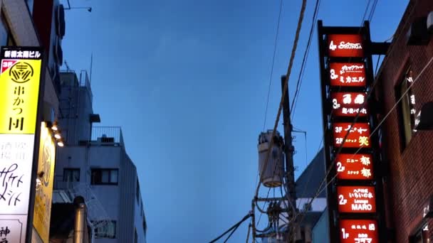 東京ナイトライフ新橋ナイトウォーク 日本の観光情報はJourney Japan — ストック動画