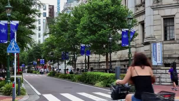 Kehidupan Yang Indah Yokohama — Stok Video