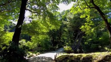 Tokyo 'daki güzel park.