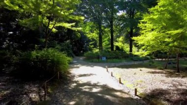 Tokyo 'daki güzel park.