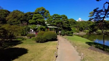 Tokyo 'daki güzel park.