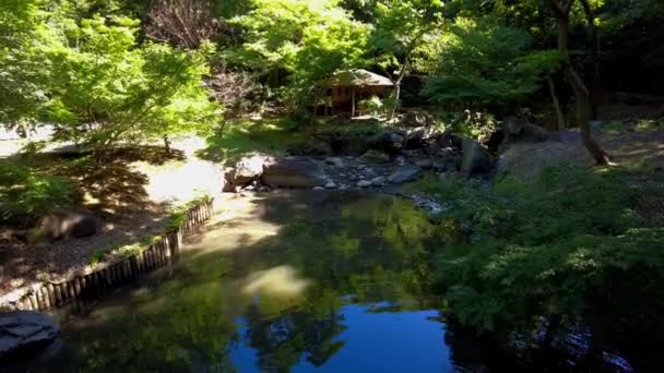 Den Vackra Parken Tokyo — Stockvideo
