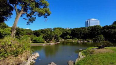 Tokyo 'daki güzel park.