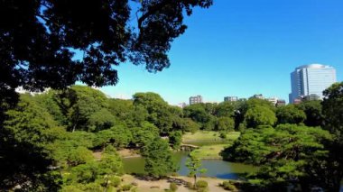 Tokyo 'daki güzel park.