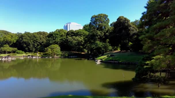 Όμορφο Πάρκο Στο Τόκιο — Αρχείο Βίντεο