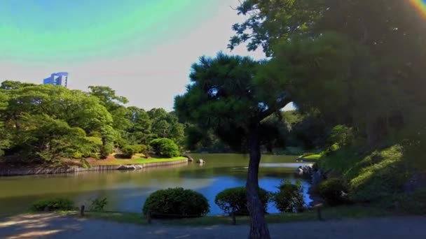 Het Prachtige Park Tokio — Stockvideo