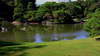 Tokyo 'daki güzel park.