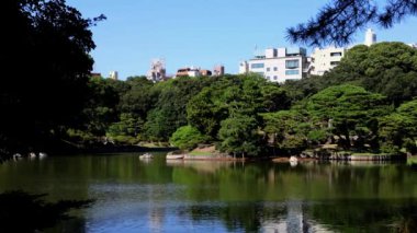 Tokyo 'daki güzel park.