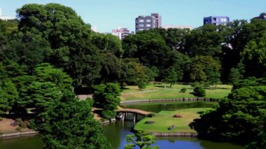 Tokyo 'daki güzel park.