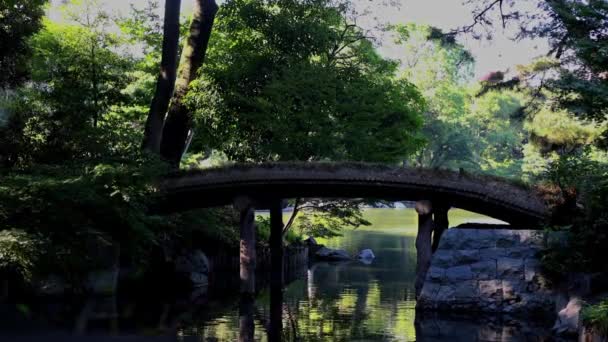 Tokyo Daki Güzel Park — Stok video