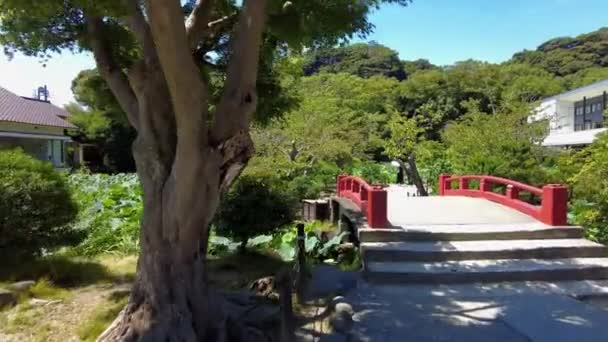 Die Schöne Aussicht Kamakura — Stockvideo