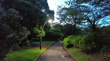 Japonya 'nın güzel manzarası