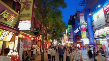 Japonya 'nın güzel manzarası