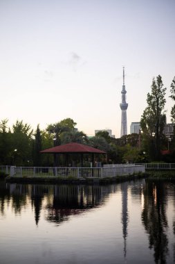 Japonya 'nın güzel manzarası