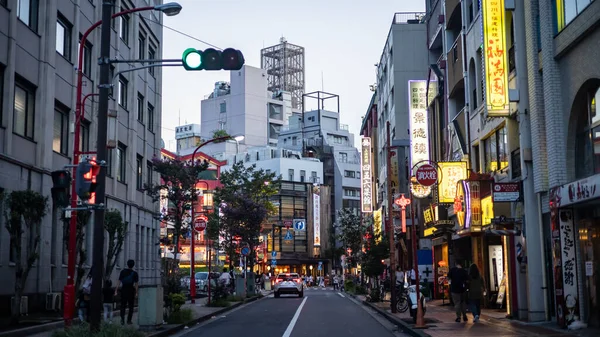 Japonya Nın Güzel Manzarası — Stok fotoğraf