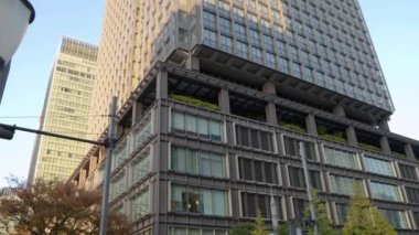 Tokyo 'nun en iyi manzarası.