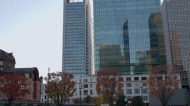 Tokyo 'nun en iyi manzarası.