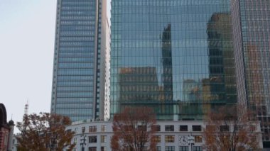 Tokyo 'nun en iyi manzarası.