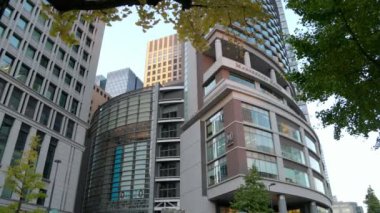 Tokyo 'nun en iyi manzarası.