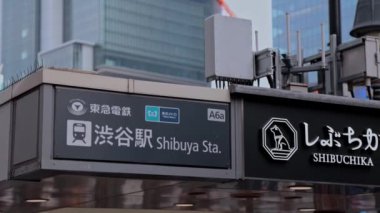 Tokyo, Japonya - Kasım 15, 2017: Japon metro istasyonu. Tokyo metro istasyonu. Tokyo Japonya 'nın en büyük şehridir.